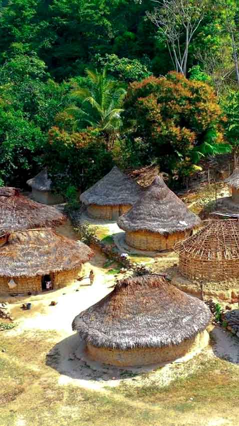 Excursión a Ciudad Perdida Santa Marta Guía Completa para Vivir esta Aventura en la Sierra Nevada donde se duerme