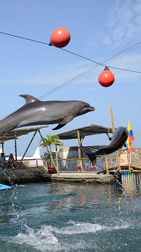 ¿Viajas a Santa Marta con niños Descubre qué hacer en familia playas tranquilas, naturaleza, acuario, cascadas y cafés para una experiencia inolvidable en 2025 acuario