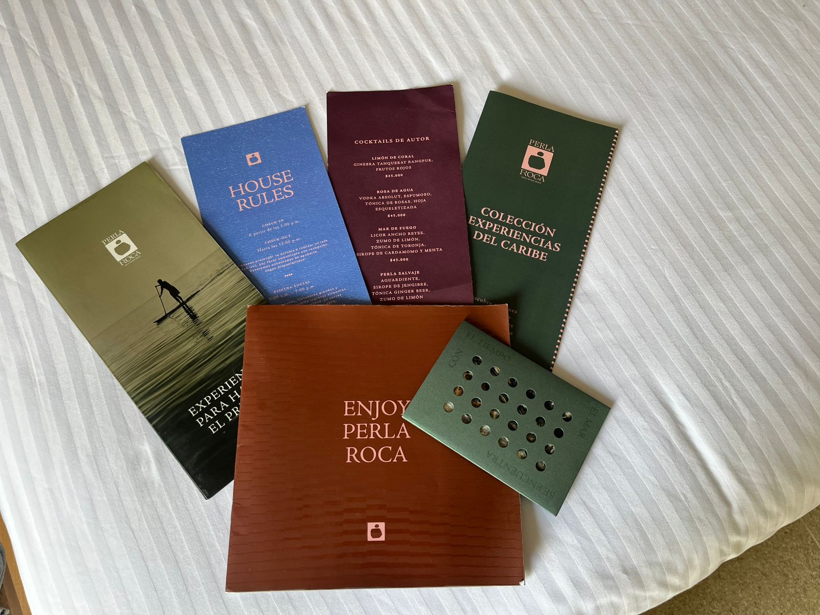 WhatsApp Image 2026-03-18 at 2.47.26 PM (6)